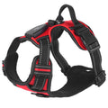Light Up Dog Harness Rechargeable