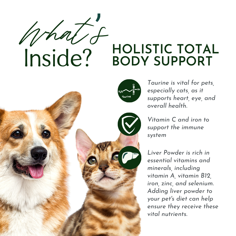 Holistic Total Body Support — Daily Multivitamin