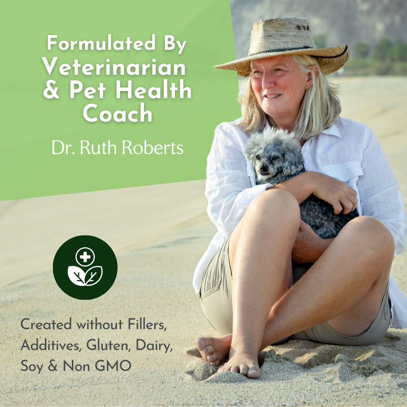 Holistic Total Body Support — Daily Multivitamin