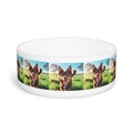Ceramic Pet Bowl – 16 oz Dog Feeding Bowl