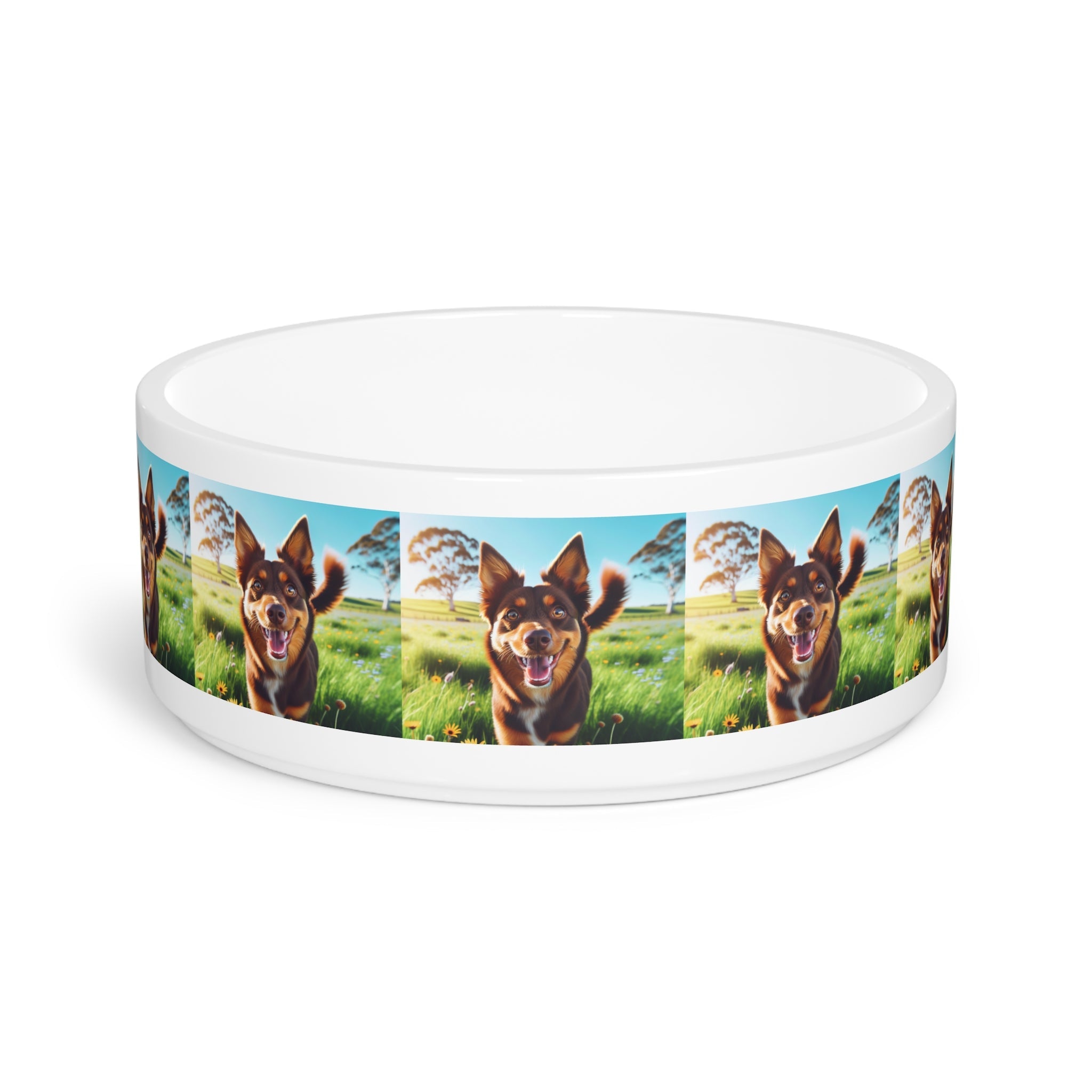 Ceramic Pet Bowl – 16 oz Dog Feeding Bowl