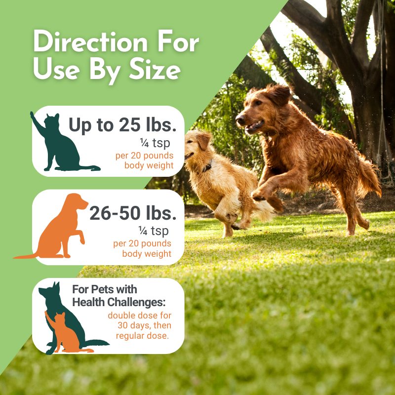 Holistic Total Body Support — Daily Multivitamin