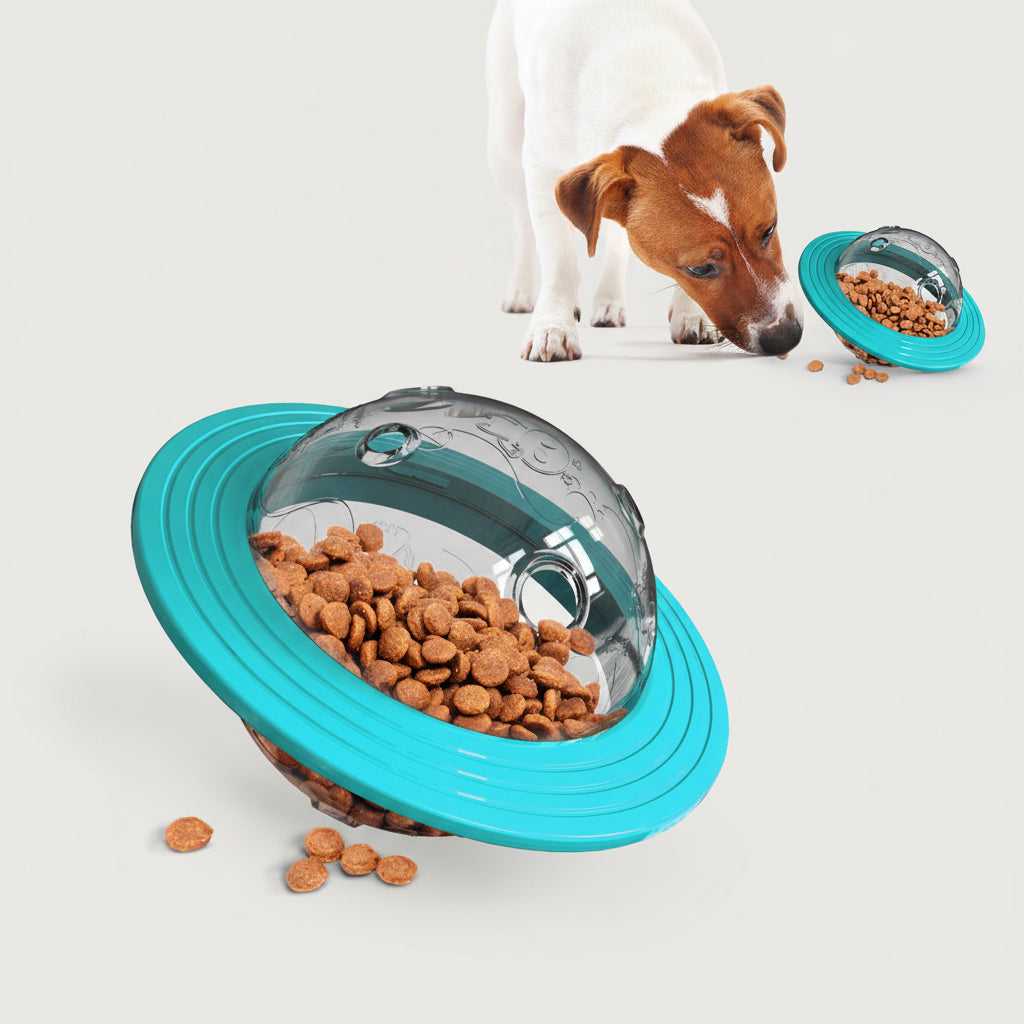 Orbit IQ 3-in-1 Interactive Dog Toy