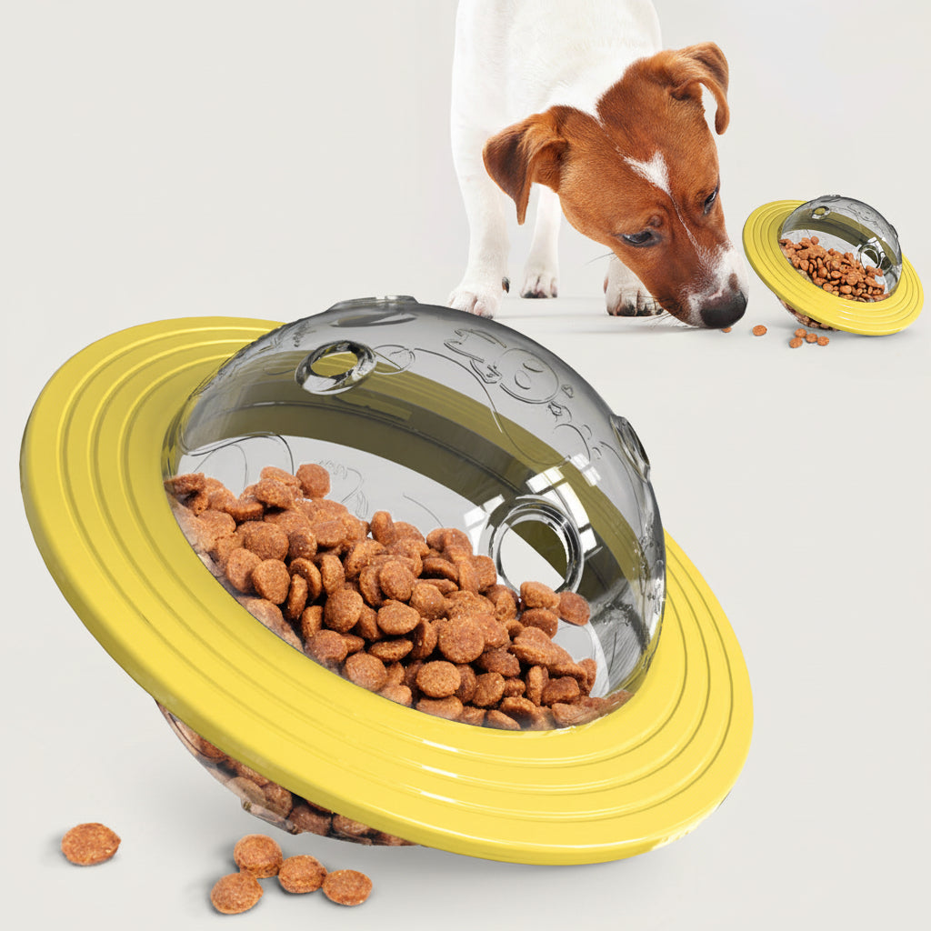 Orbit IQ 3-in-1 Interactive Dog Toy