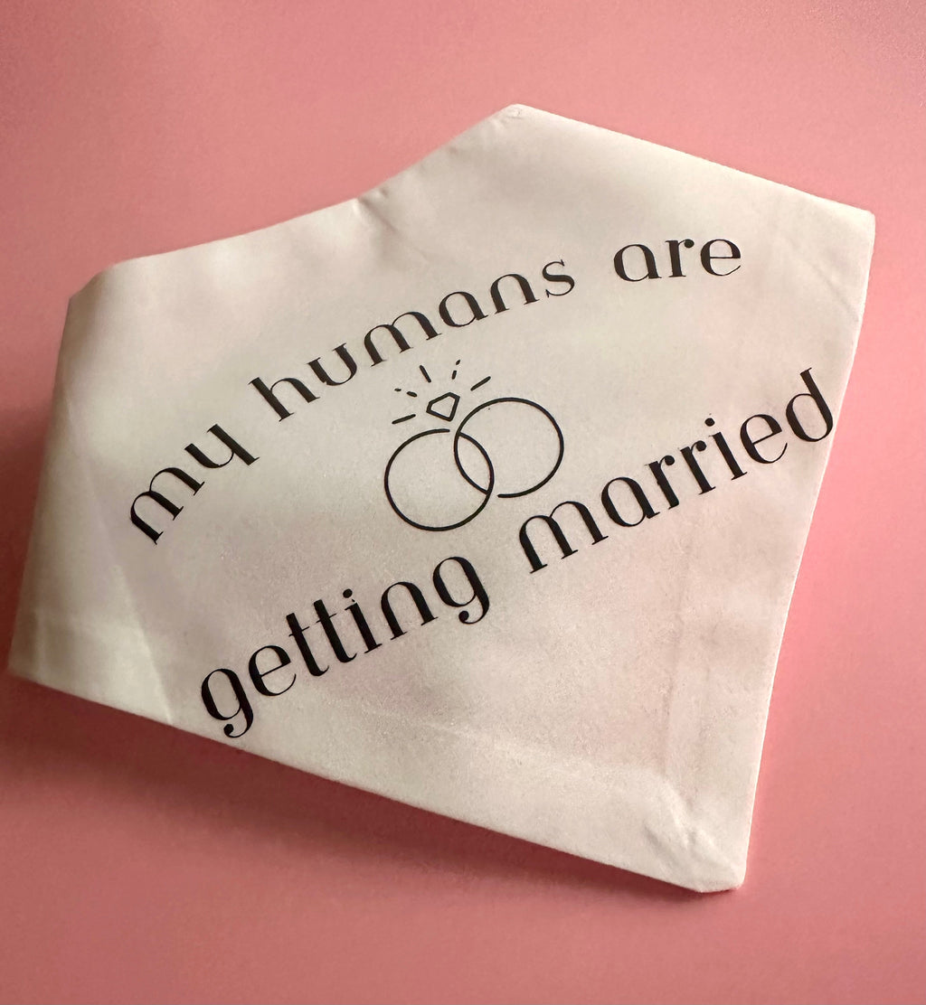 My Humans Are Getting Married