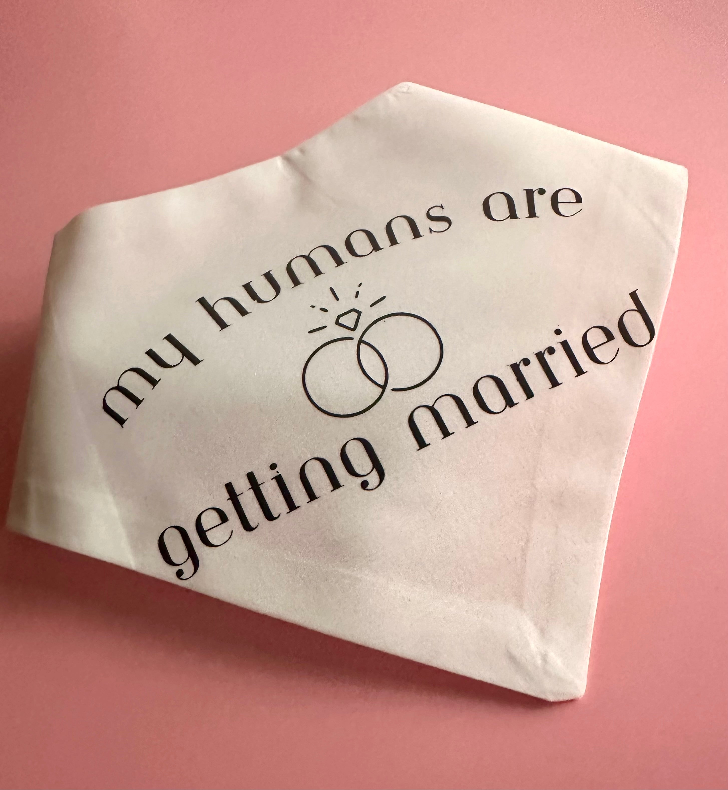 My Humans Are Getting Married