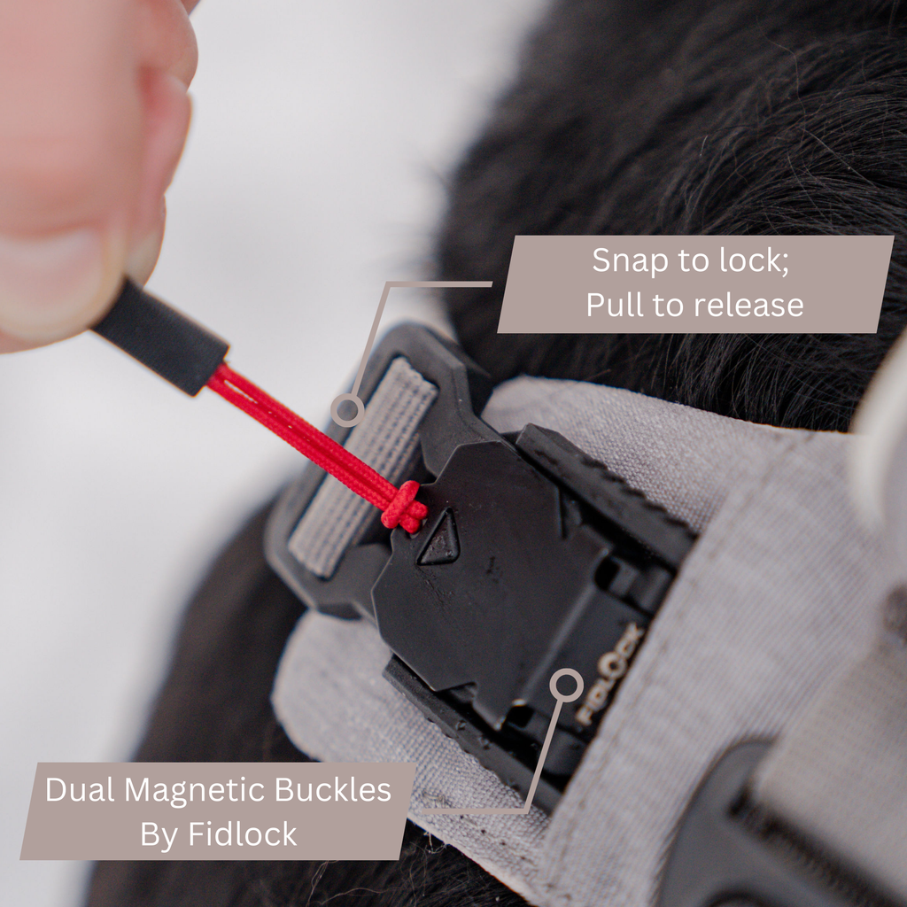 Magnetic Dog Harness with Handle