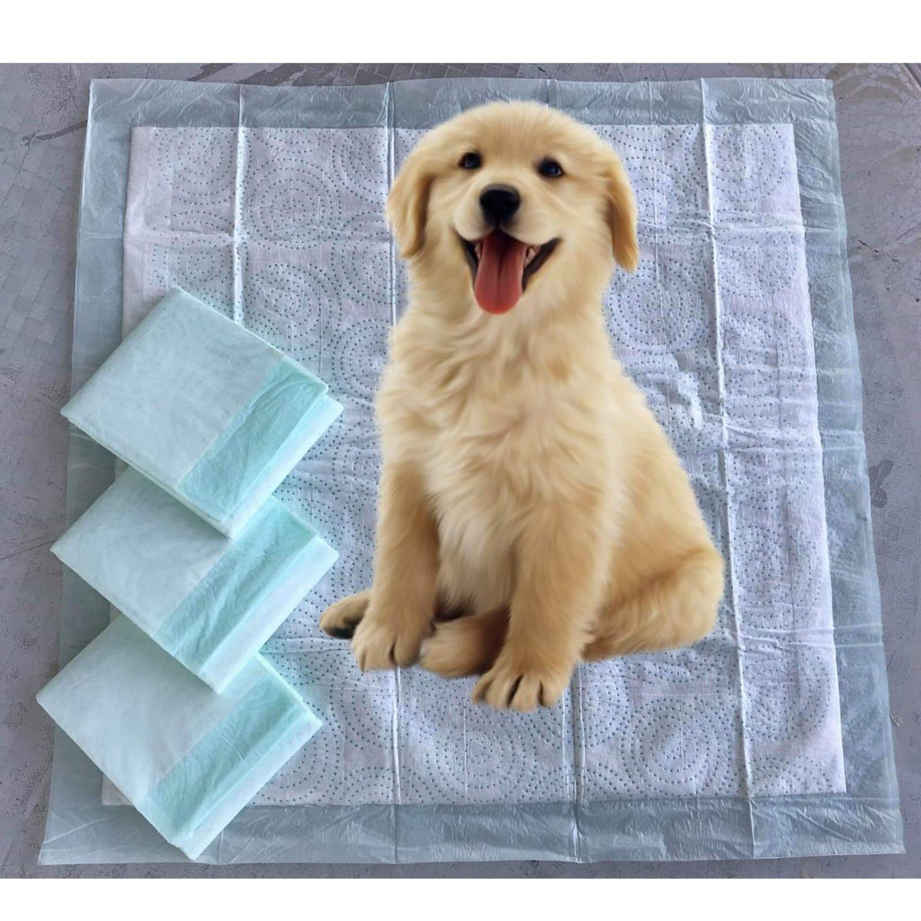 Mr. Peanut’s Premium Absorbent Gel Pee Pads