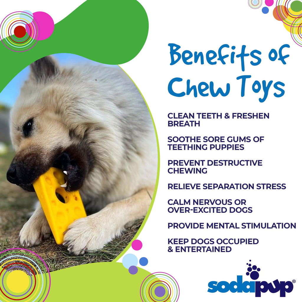 Swiss Cheese Wedge for Aggressive Chewers