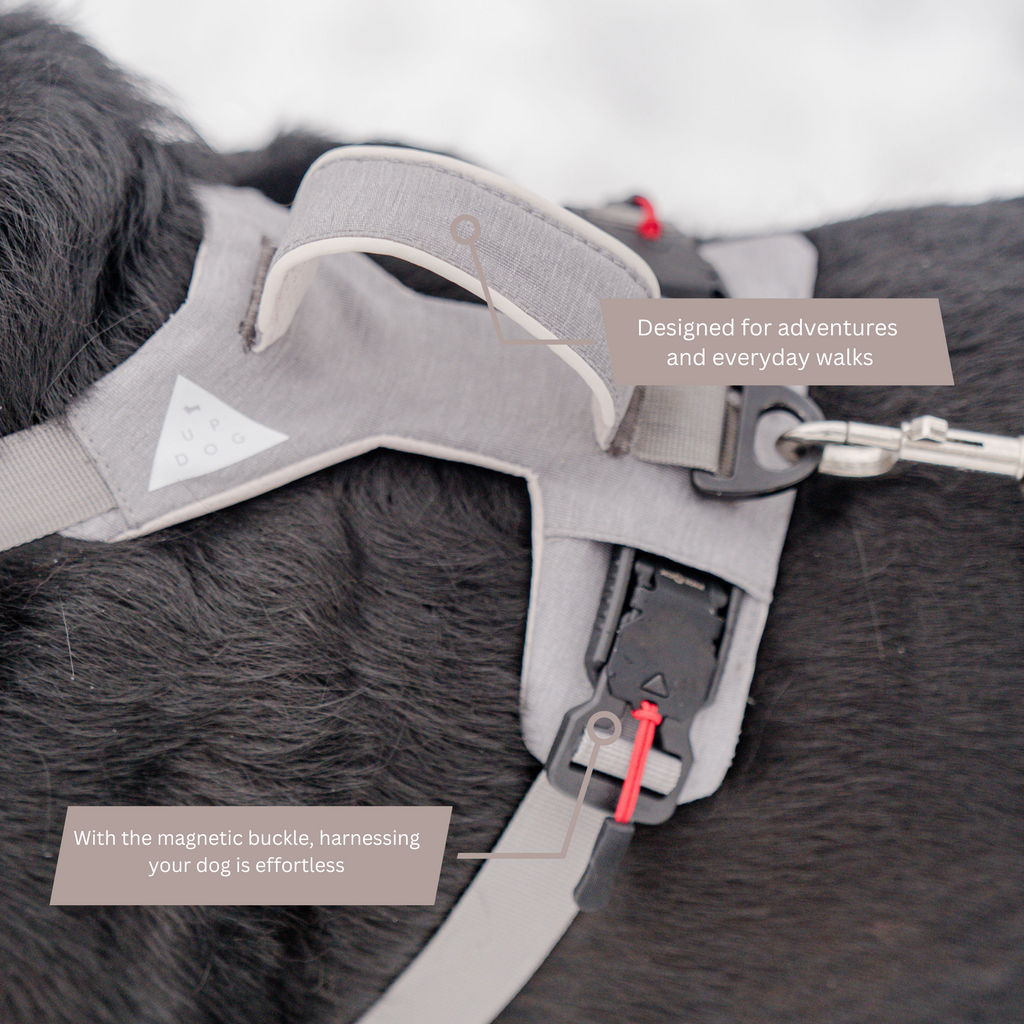 Magnetic Dog Harness with Handle