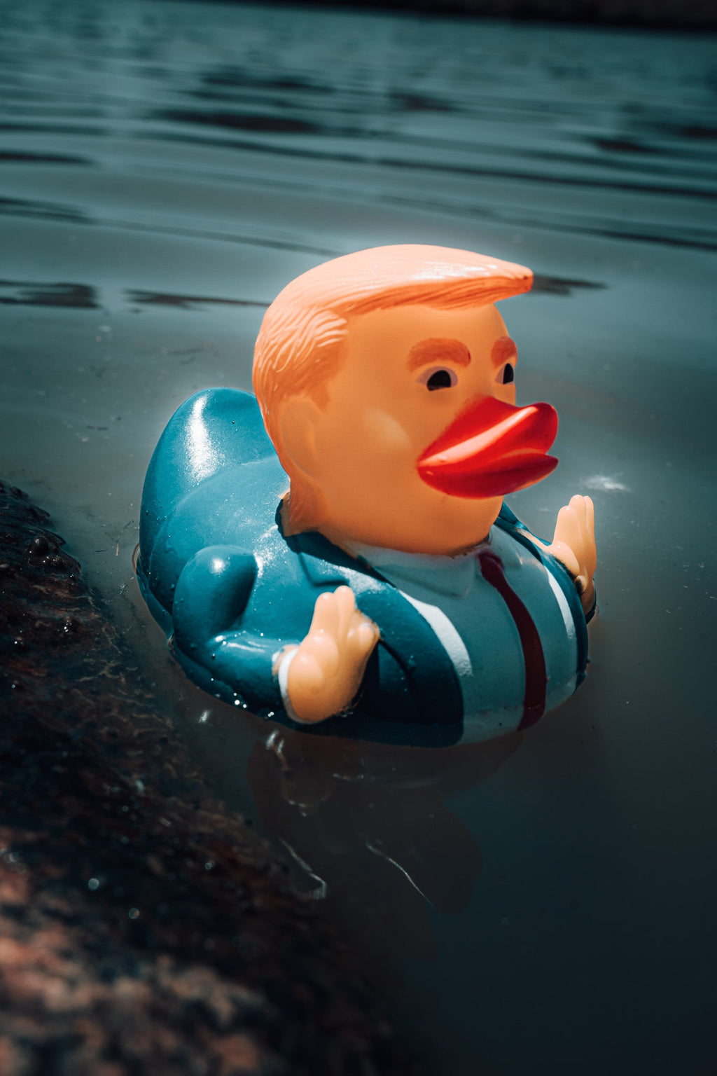 The "DONALD" Duck🇺🇸🇺🇸🇺🇸