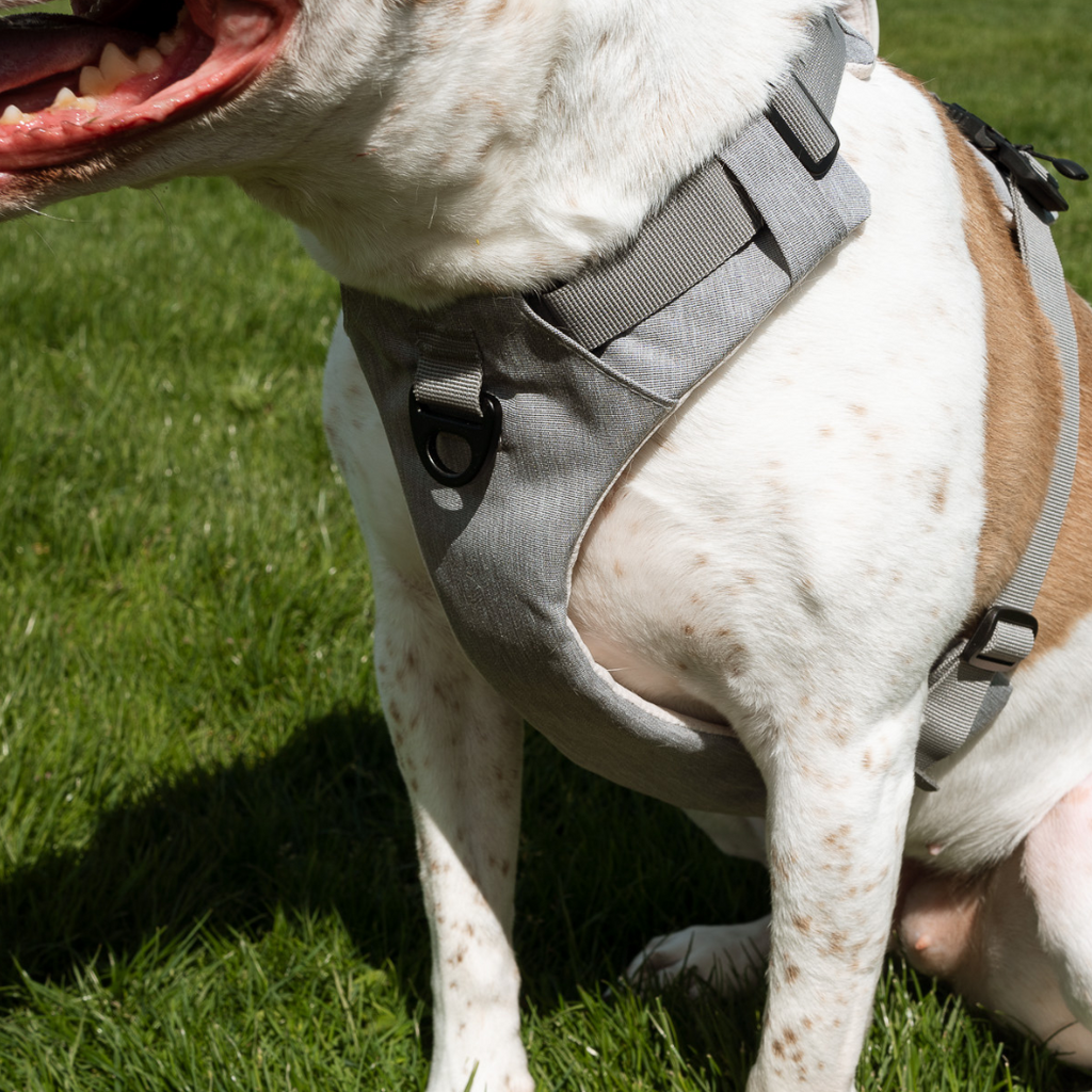 Magnetic Dog Harness with Handle