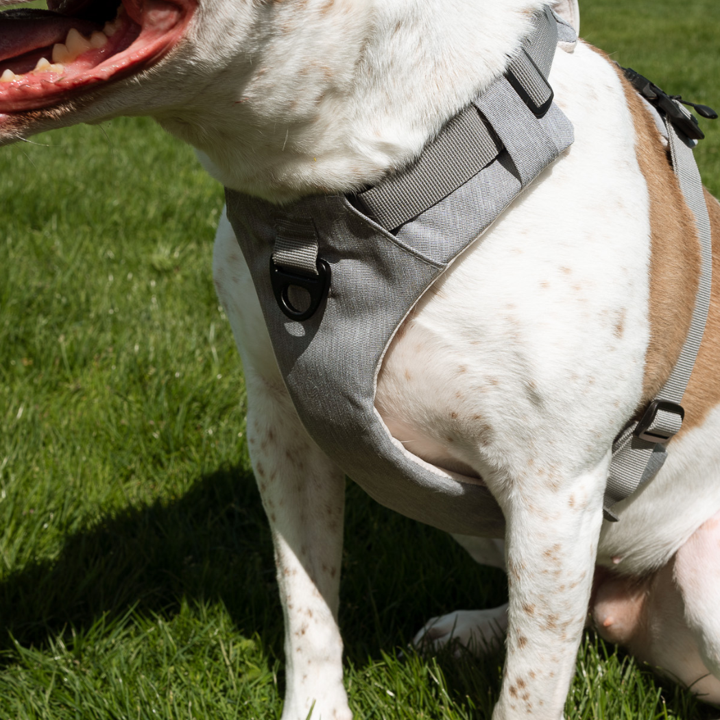 Magnetic Dog Harness with Handle