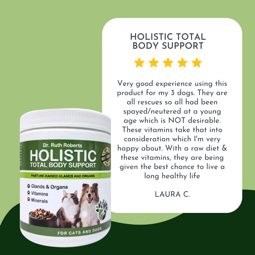 Holistic Total Body Support — Daily Multivitamin