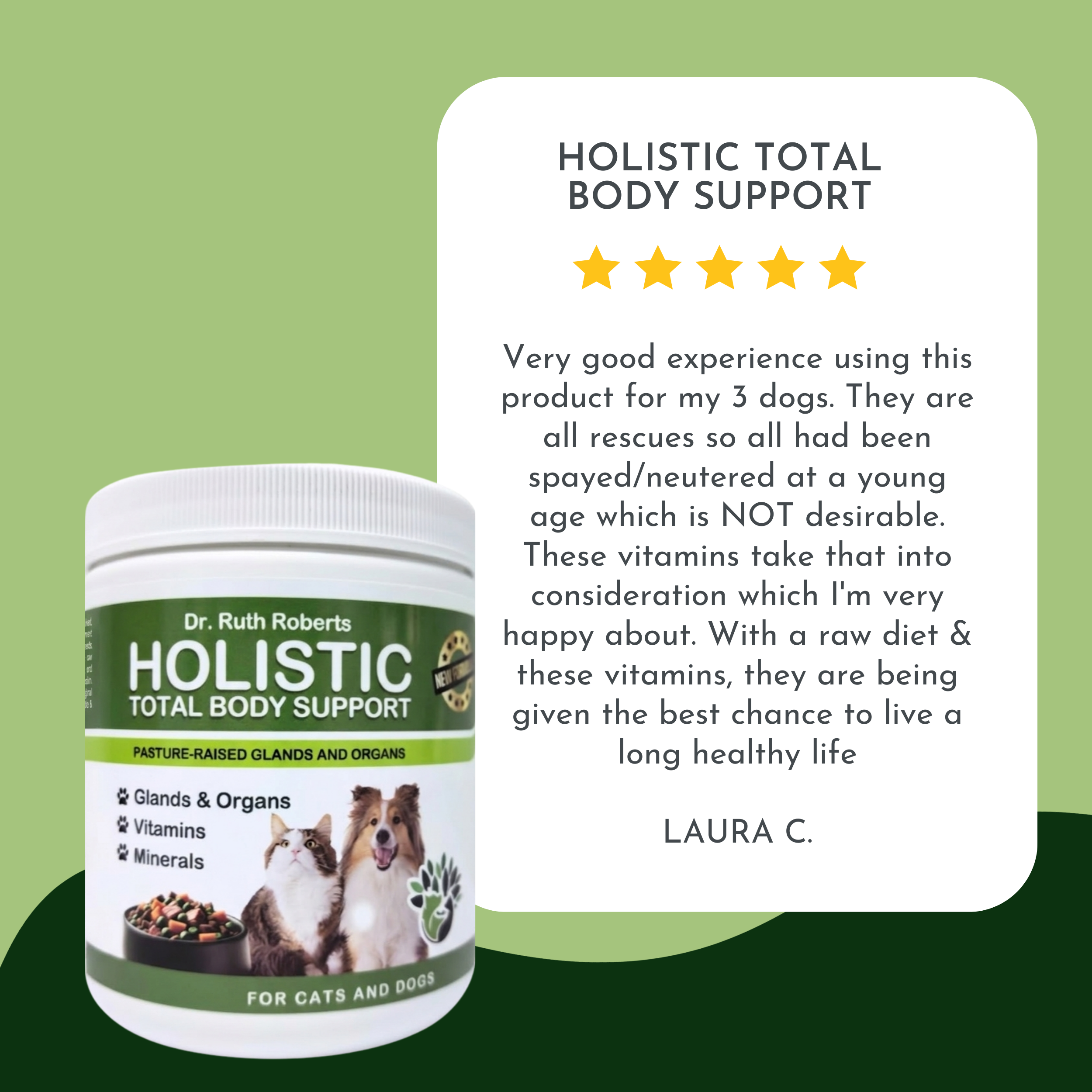 Holistic Total Body Support — Daily Multivitamin