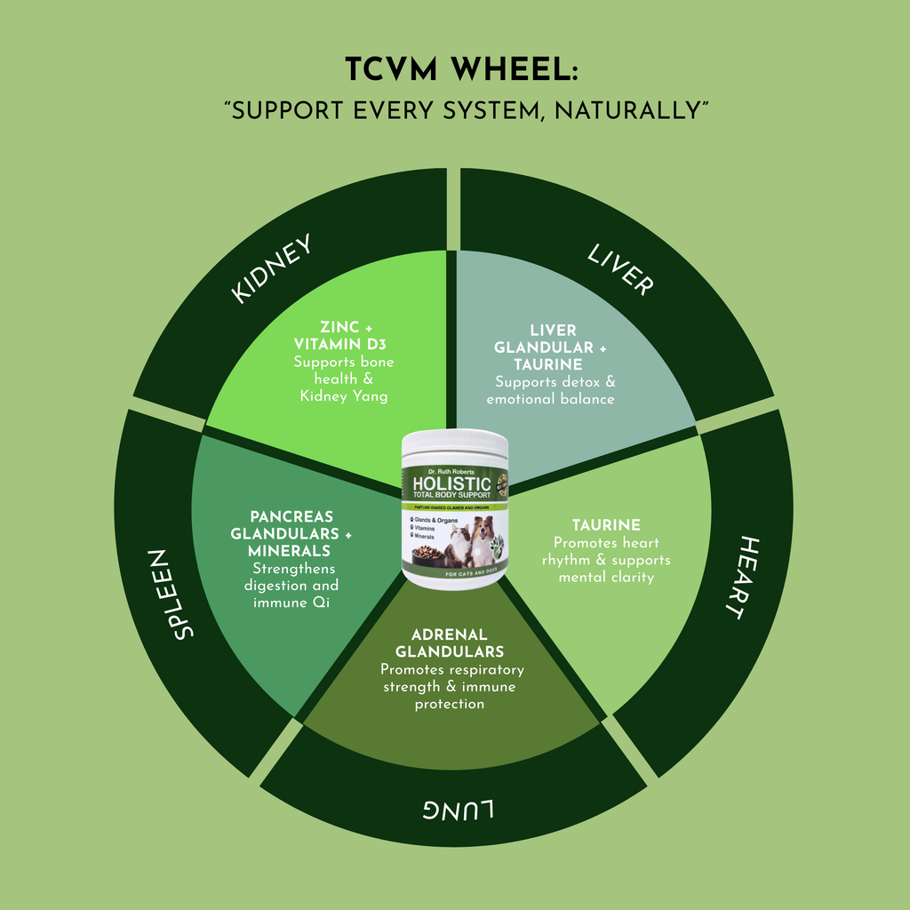 Holistic Total Body Support — Daily Multivitamin