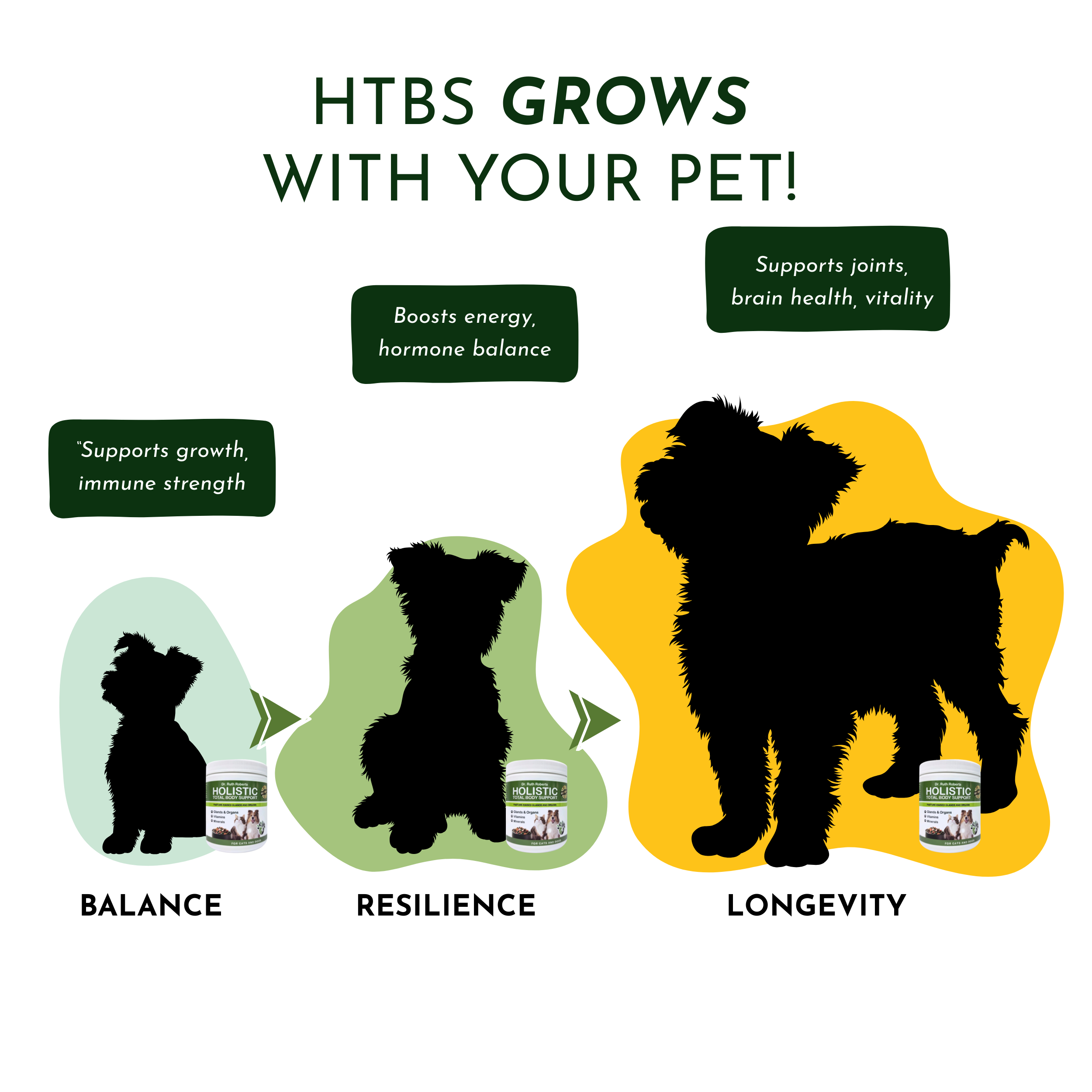 Holistic Total Body Support — Daily Multivitamin