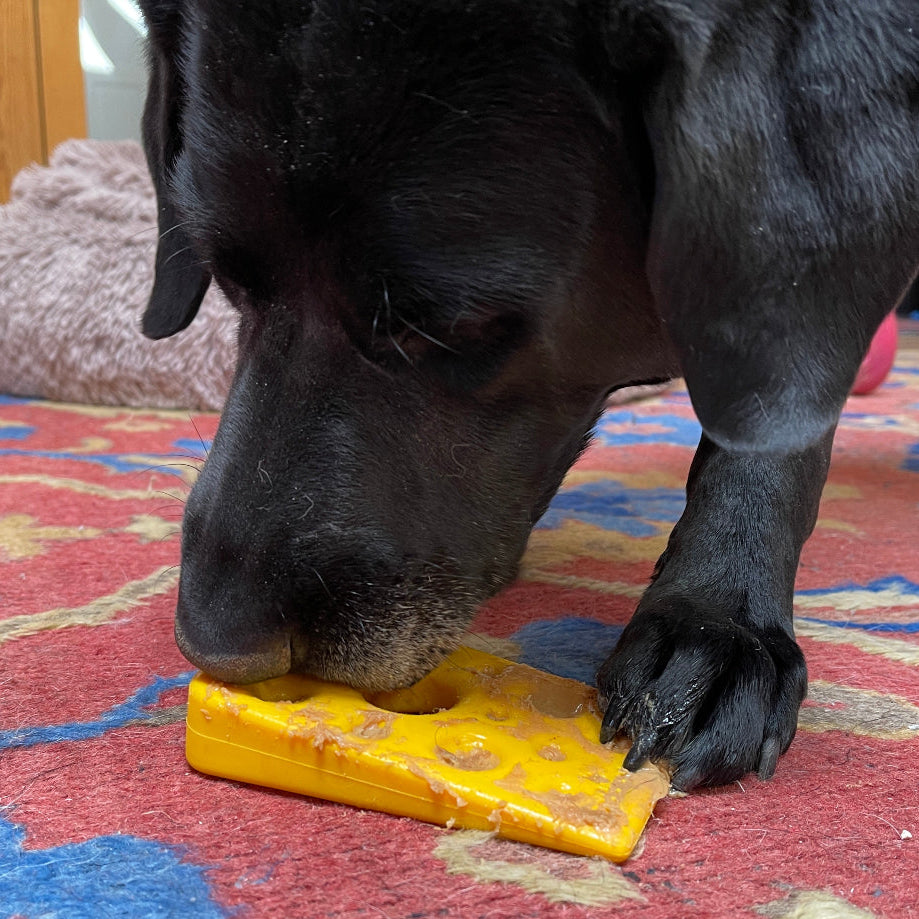 Swiss Cheese Wedge for Aggressive Chewers