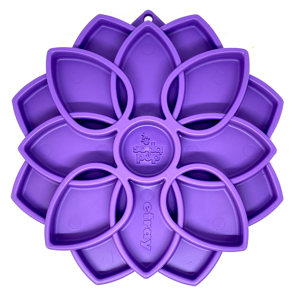 Mandala eTray Shallow Slow Feeder Dog Bowl