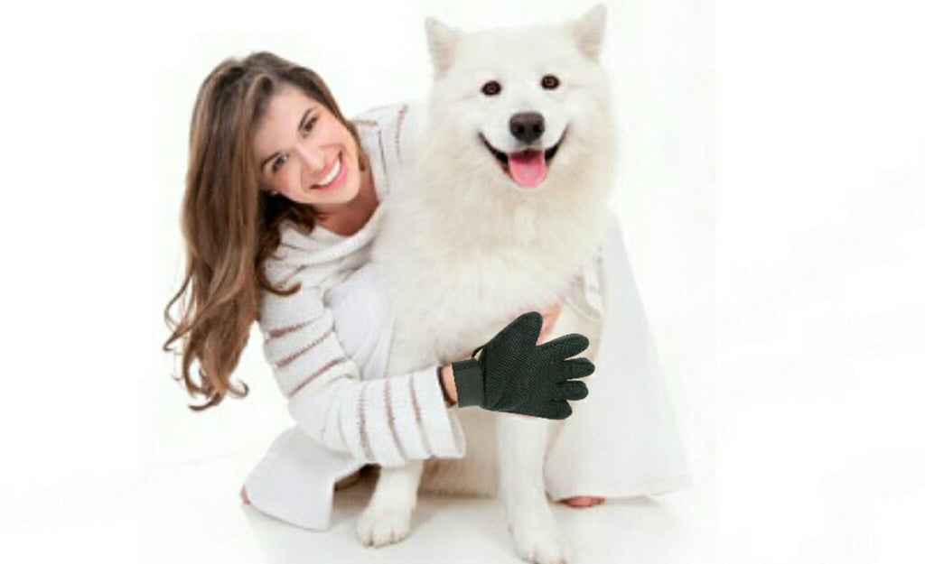 Mr. Peanut's 2 Pak Pet Grooming Gloves
