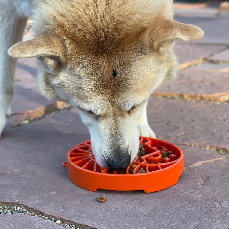 Sun and Moon  Shallow Slow Feeder Dog Bowl