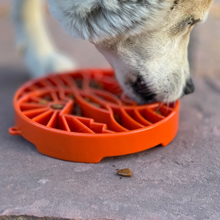 Sun and Moon  Shallow Slow Feeder Dog Bowl