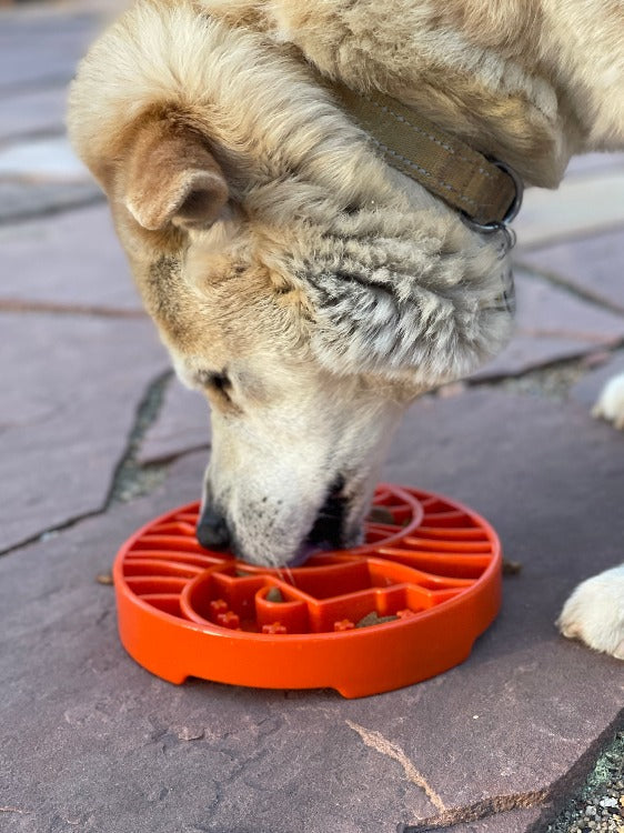 Sun and Moon  Shallow Slow Feeder Dog Bowl