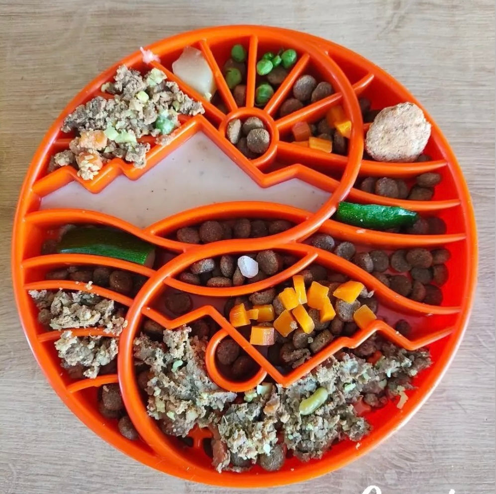 Sun and Moon  Shallow Slow Feeder Dog Bowl