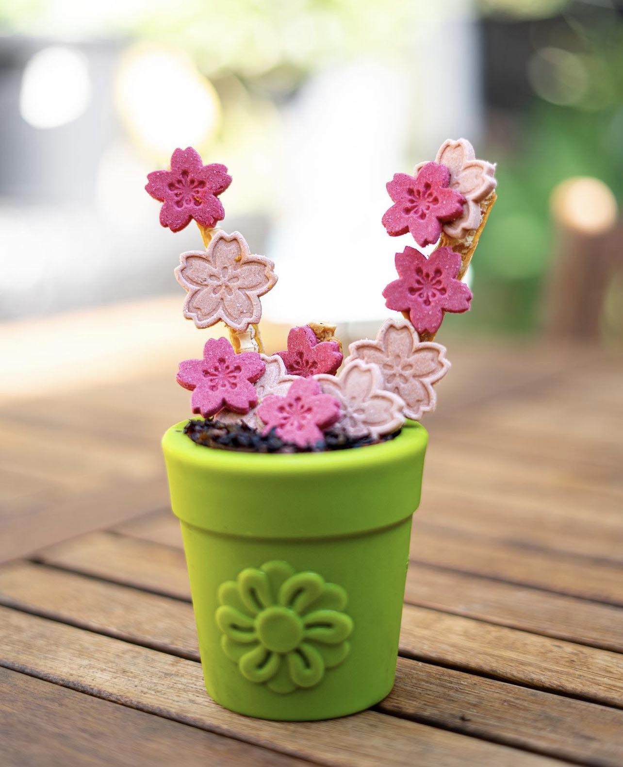 Large Flower Pot eCup Dog Treat Dispenser