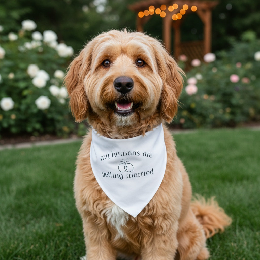 My Humans Are Getting Married