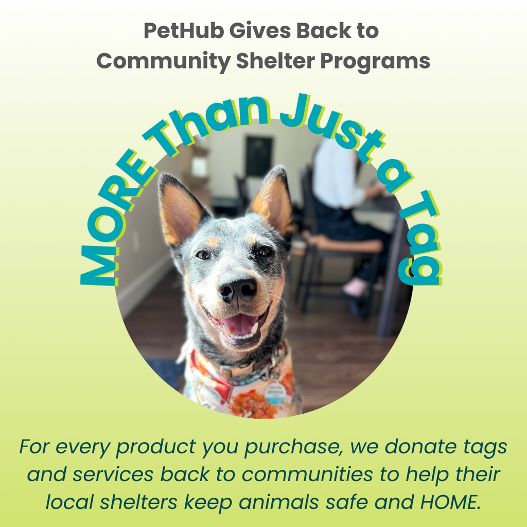Pet ID Tag – Original Get Me Home Club