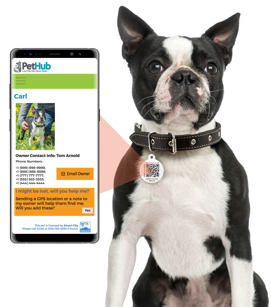 Pet ID Tag – Oh Crap I’m Lost
