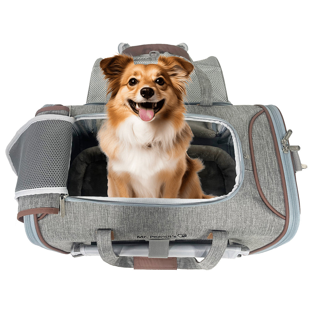 Mr. Peanut's Airline Compliant Expandable Pet Carrier