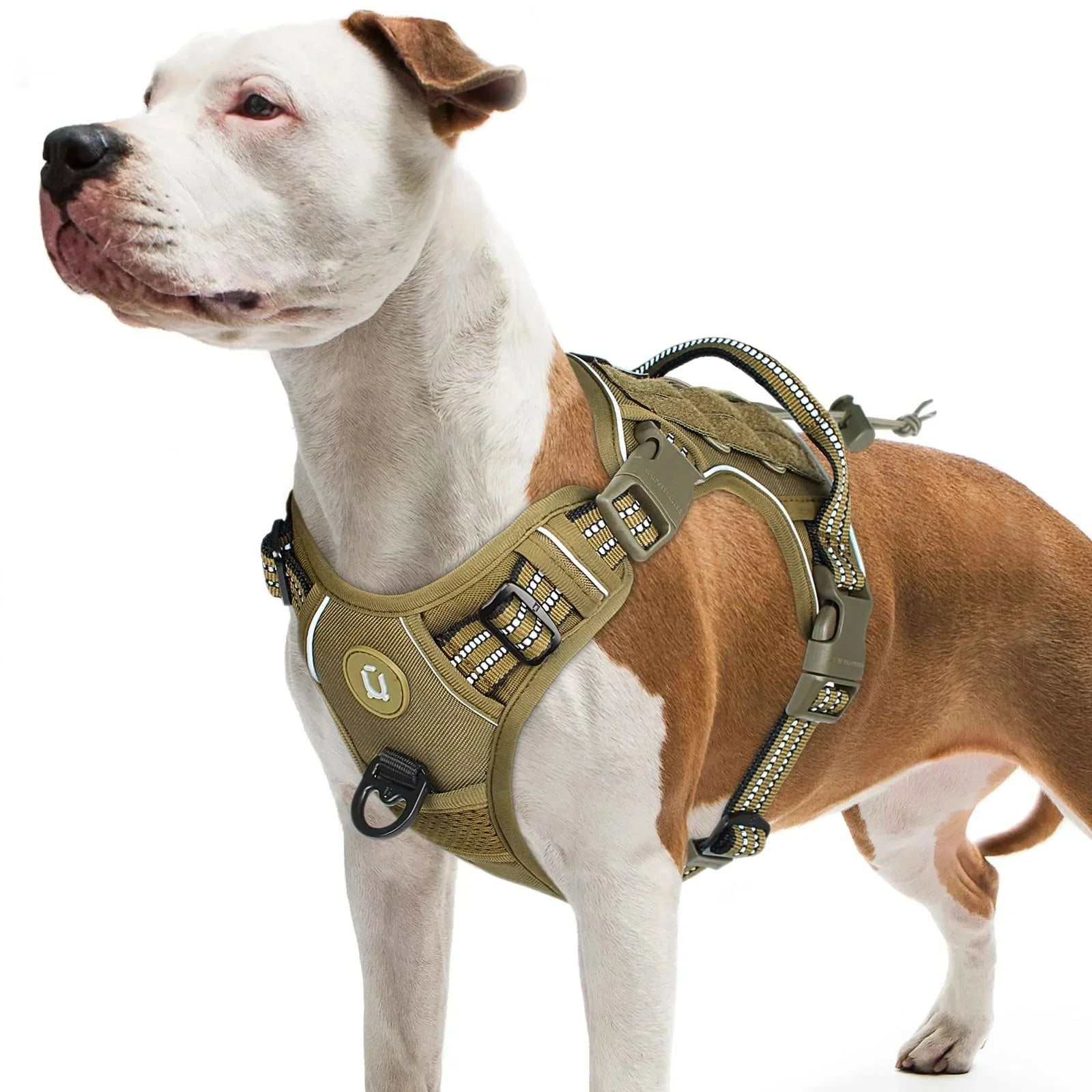 Tactical No-Pull Dog Harness