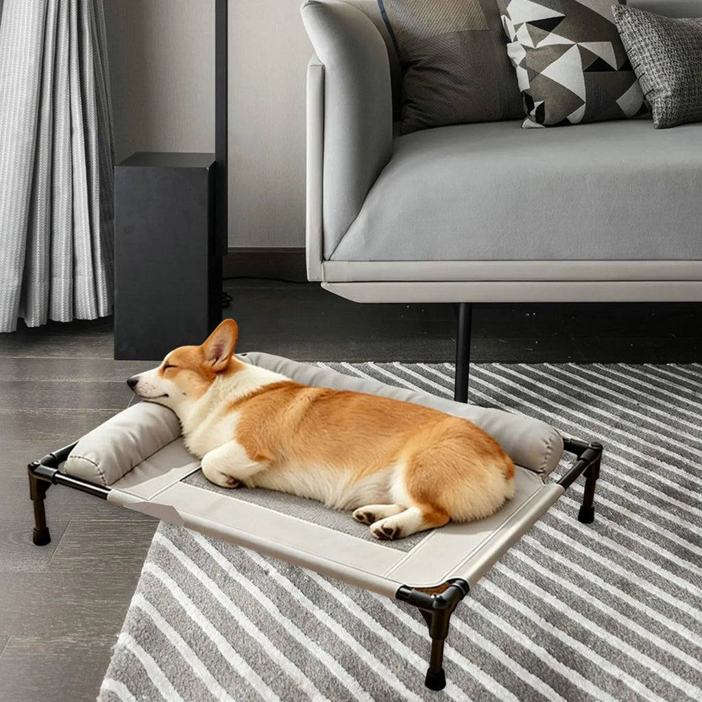 Elevated Pet Bed Multifunctional Spacious Heavy Duty Easy Clean Comfortable Indoor Pet Supplies Accessory Metal Frame