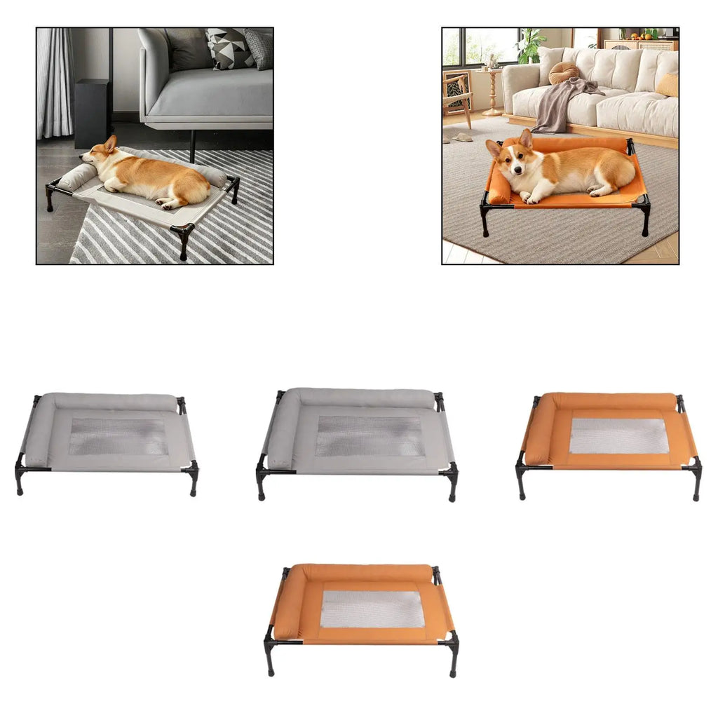 Elevated Pet Bed Multifunctional Spacious Heavy Duty Easy Clean Comfortable Indoor Pet Supplies Accessory Metal Frame