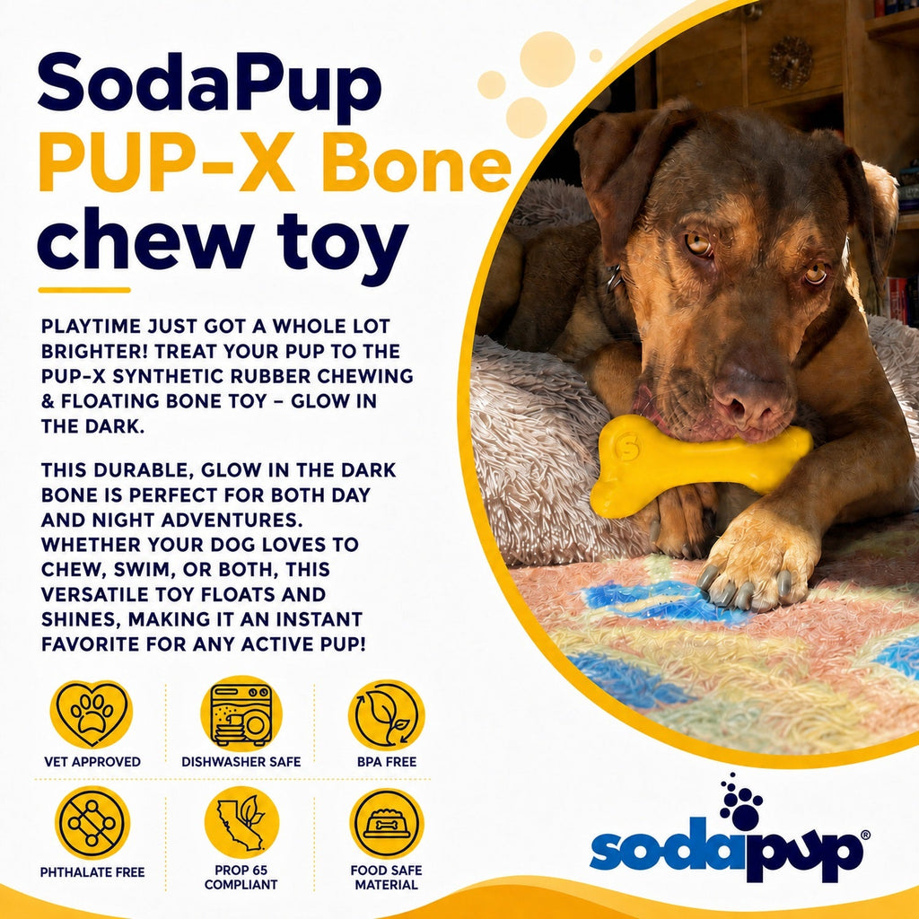 PUP-X Rubber Bone Dog Toy