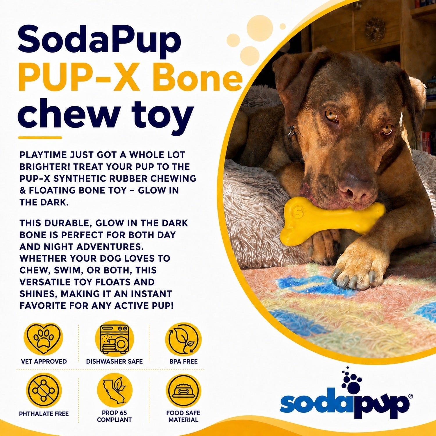 PUP-X Rubber Bone Dog Toy