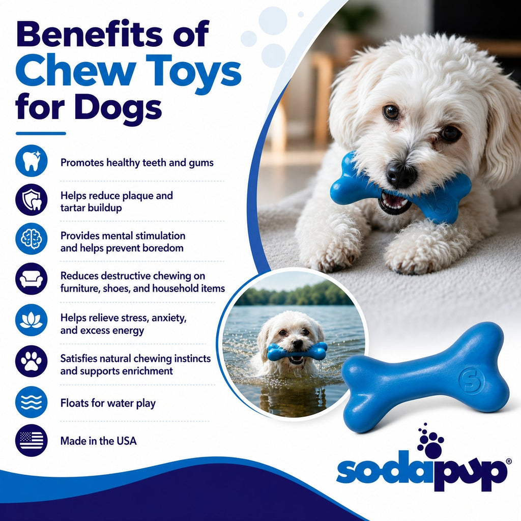 PUP-X Rubber Bone Dog Toy