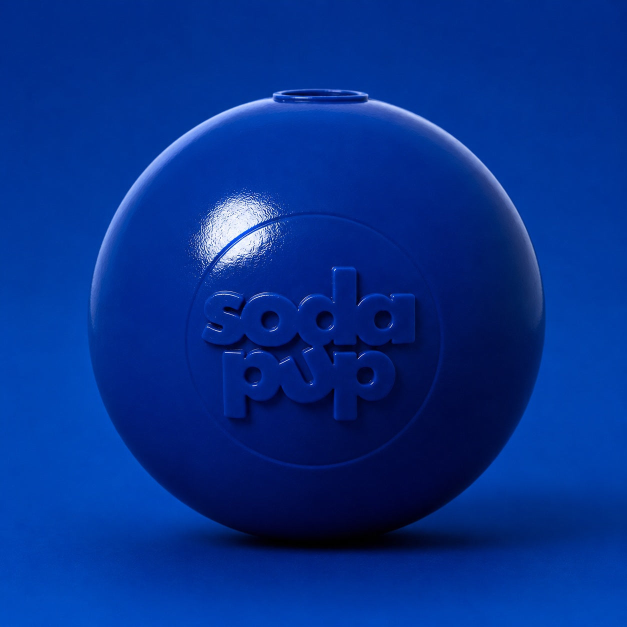 Squeak Ball - Durable Squeaky Dog Toy Floats