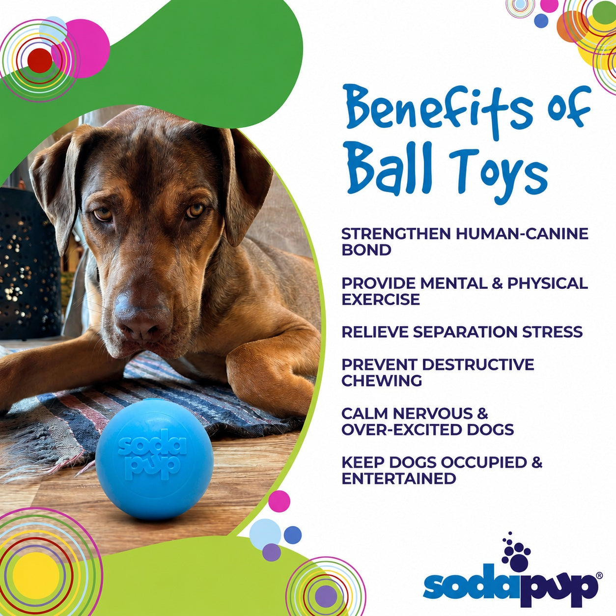 Squeak Ball - Durable Squeaky Dog Toy Floats