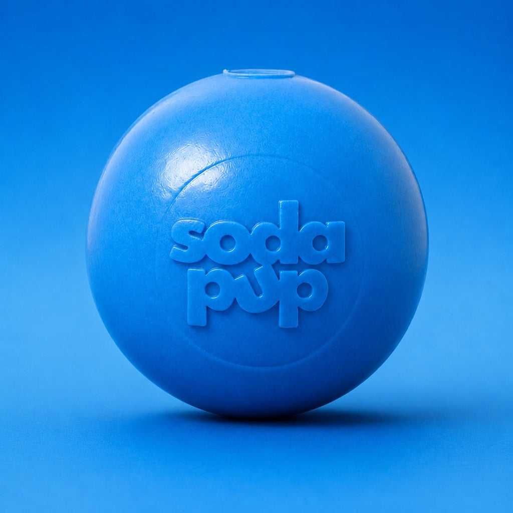 Squeak Ball - Durable Squeaky Dog Toy Floats