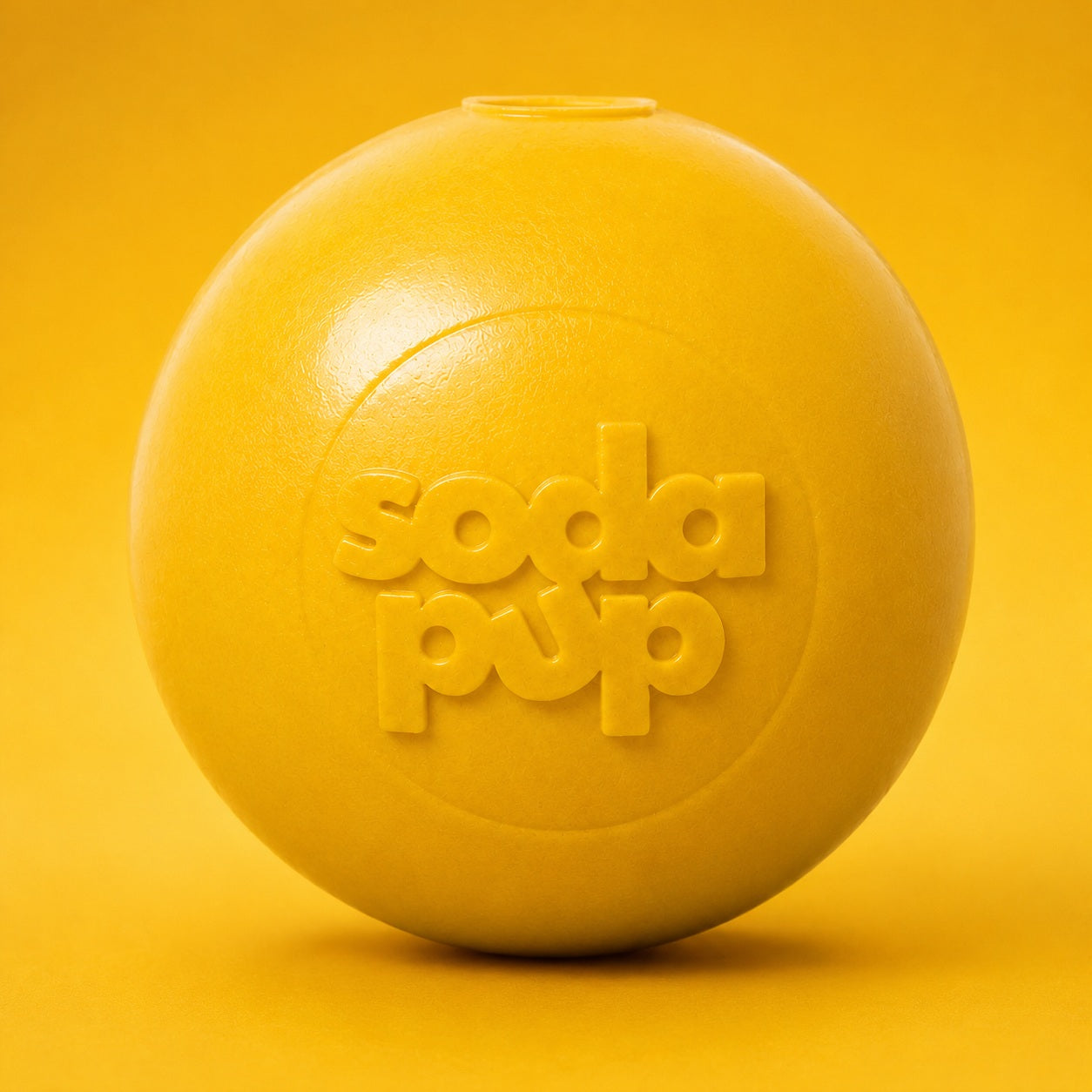 Squeak Ball - Durable Squeaky Dog Toy Floats
