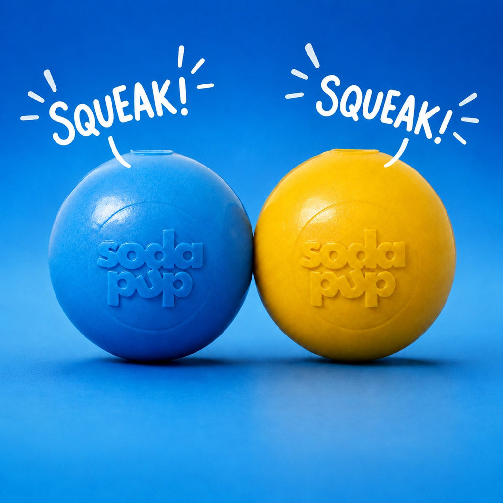 Squeak Ball - Durable Squeaky Dog Toy Floats