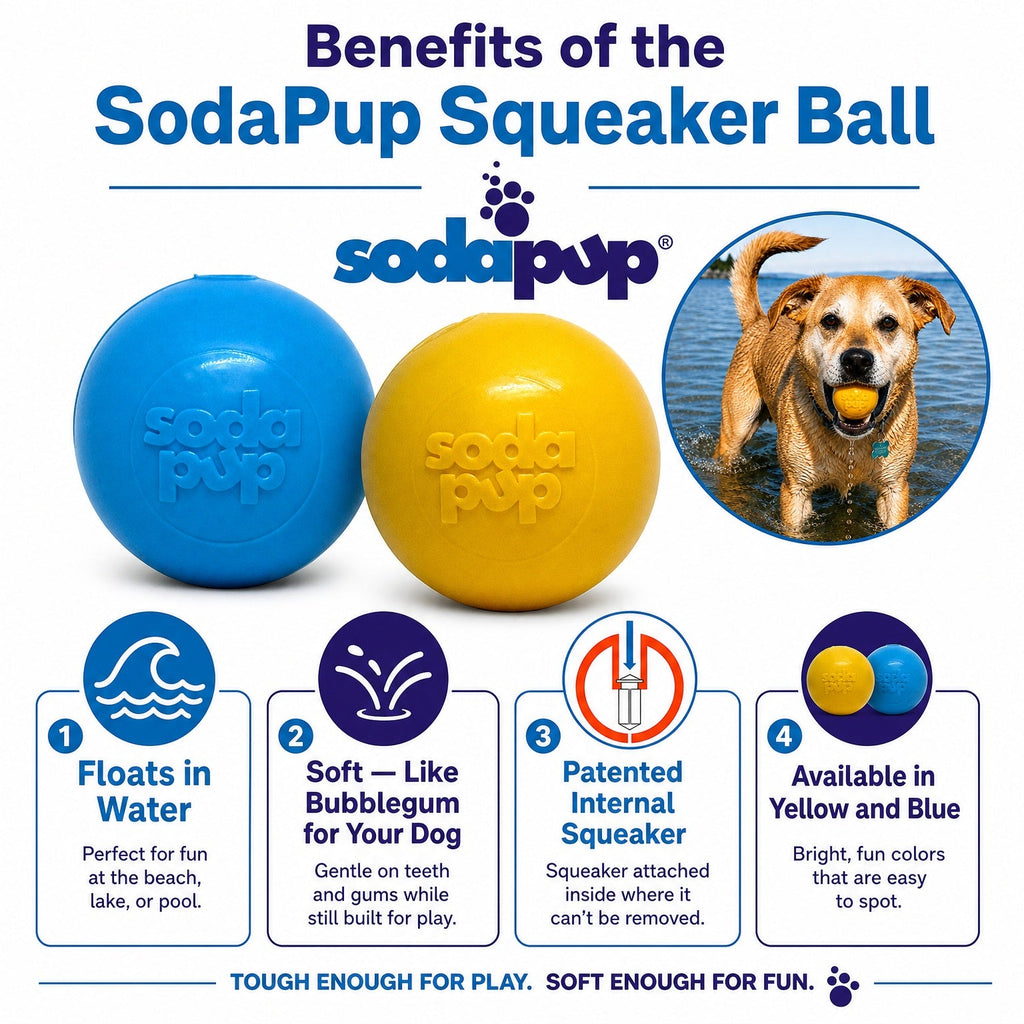 Squeak Ball - Durable Squeaky Dog Toy Floats