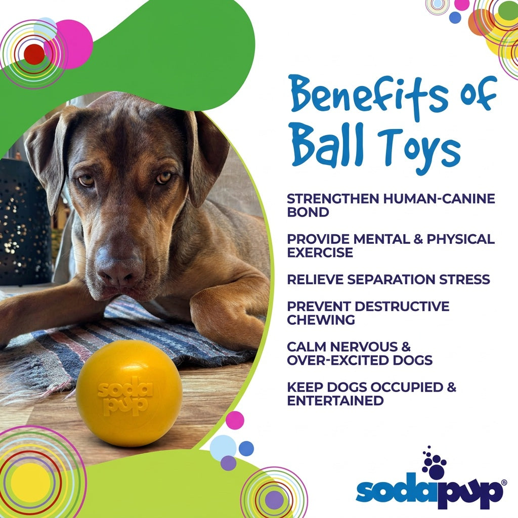 Squeak Ball - Durable Squeaky Dog Toy Floats