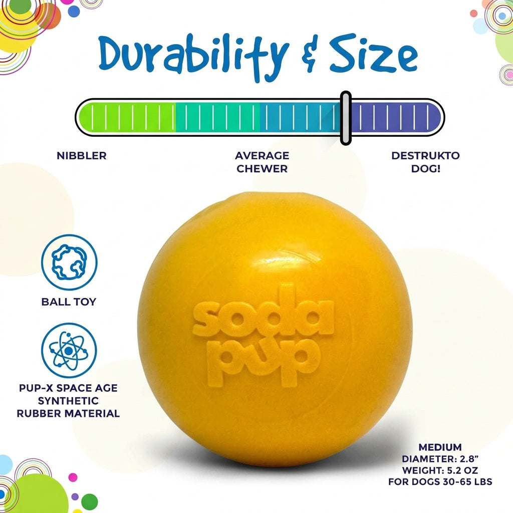 Squeak Ball - Durable Squeaky Dog Toy Floats