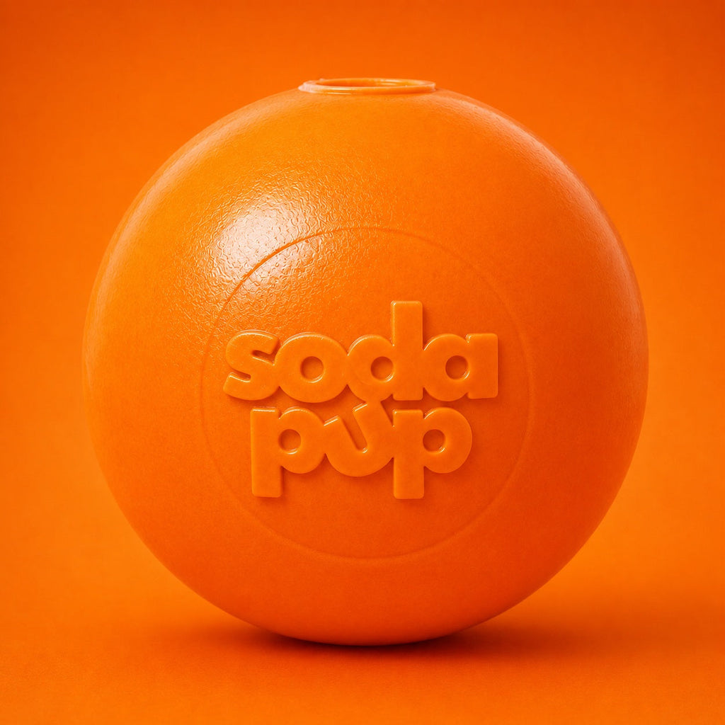 Squeak Ball - Durable Squeaky Dog Toy Floats