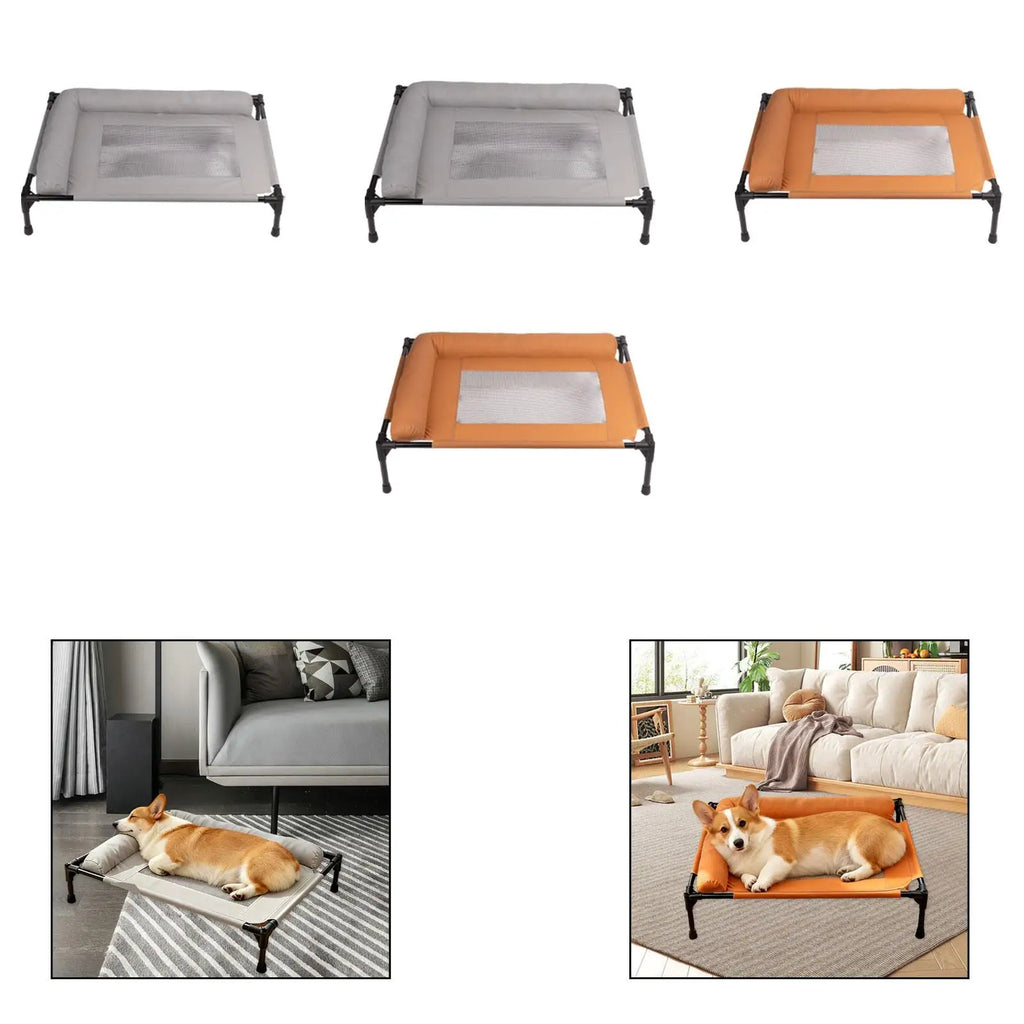 Elevated Pet Bed Multifunctional Spacious Heavy Duty Easy Clean Comfortable Indoor Pet Supplies Accessory Metal Frame