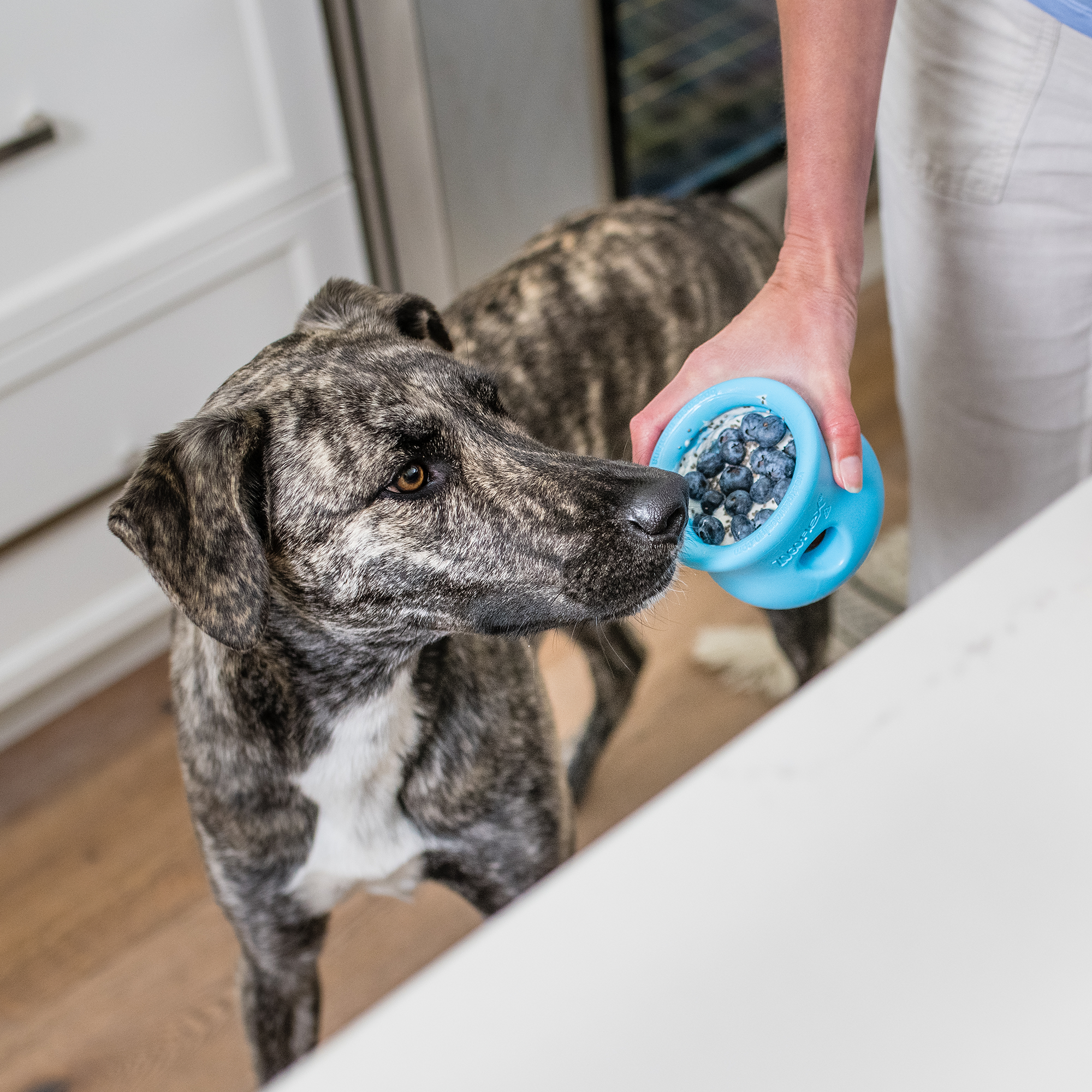 Puzzle toy that doubles as a slow feeder